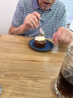 Muffin  at Vega in Spring Hill