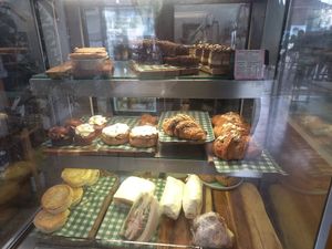  at Vega in Spring Hill