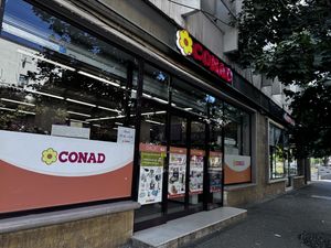   at Conad in Tirana