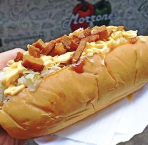 Happy dog at Morrones in Sao Bernardo Do Campo