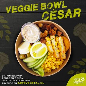  at Arte Vegetal in Santiago