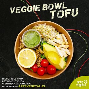  at Arte Vegetal in Santiago