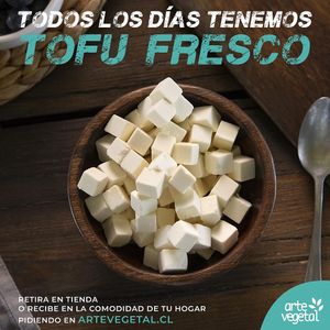  at Arte Vegetal in Santiago