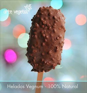 Helados veganos sin gluten at Arte Vegetal in Santiago