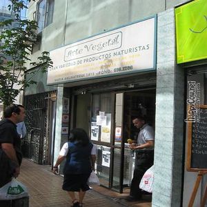Store Front at Arte Vegetal in Santiago