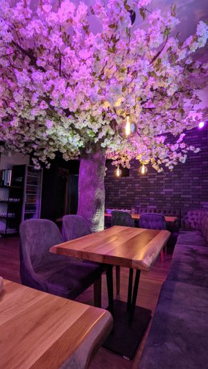 Restaurant at Kaia in Alzey