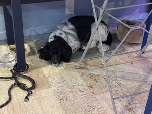 Milko!  at I Quit - Café & Bakery in Mexico City