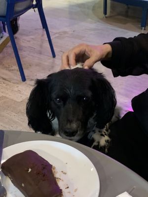 “Yo quiero, yo quiero"  at I Quit - Café & Bakery in Mexico City