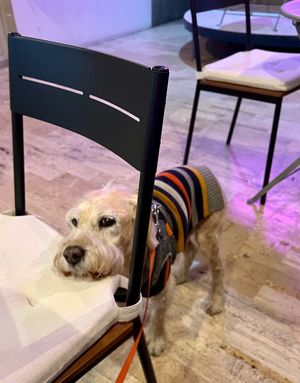  at I Quit - Café & Bakery in Mexico City