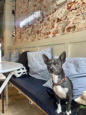   at I Quit - Café & Bakery in Mexico City