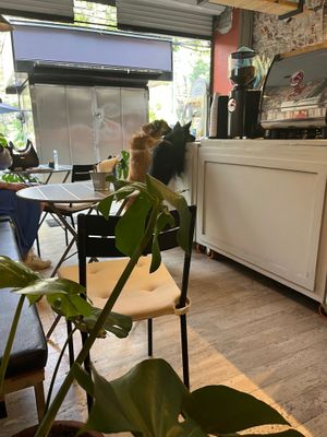 Loved that the place was pet friendly at I Quit - Café & Bakery in Mexico City
