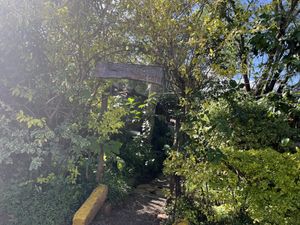 Hidden “secret garden"  at Pallet Cafe in Nairobi