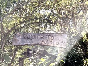 Entry to the “secret garden"  at Pallet Cafe in Nairobi