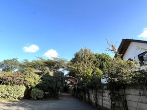   at Pallet Cafe in Nairobi