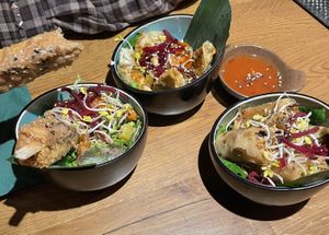 Tofu Peanut Sticks, Gyoza, Spring Rolls at Vegan House - Schillerplatz in Dresden