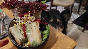 Summer rolls at Vegan House - Schillerplatz in Dresden