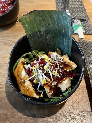   at Vegan House - Schillerplatz in Dresden