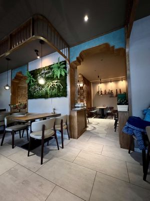   at Vegan House - Schillerplatz in Dresden