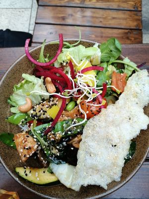  at Vegan House - Schillerplatz in Dresden