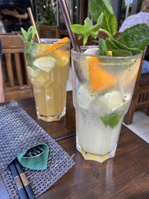   at Vegan House - Schillerplatz in Dresden