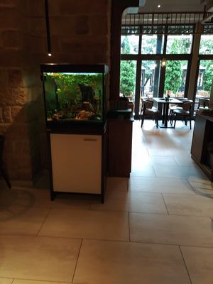  at Vegan House - Schillerplatz in Dresden