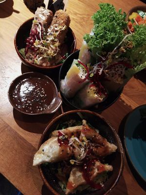 Mini Bowls: Sommerrolle, Gyoza, Tofusticks gebacken at Vegan House - Schillerplatz in Dresden