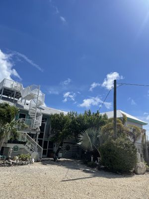 Outside - rear  at Deer Run Bed and Breakfast in Big Pine Key