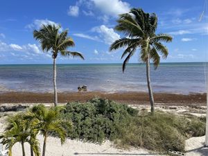 View from room  at Deer Run Bed and Breakfast in Big Pine Key