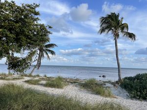 Beach  at Deer Run Bed and Breakfast in Big Pine Key