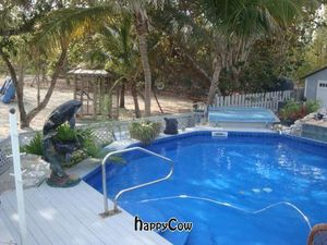 saltwater pool and spa at Deer Run Bed and Breakfast in Big Pine Key