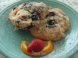 blueberry scones at Deer Run Bed and Breakfast in Big Pine Key