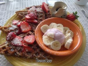 coconut waffles at Deer Run Bed and Breakfast in Big Pine Key