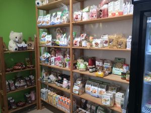 Specialty of vegetable cuisine at Vegustibus in Rome