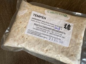 Artisanal tempeh  at Vegustibus in Rome