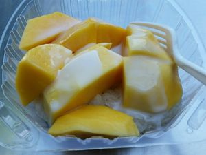 mango sticky rice at Thai Vegan in Santa Monica