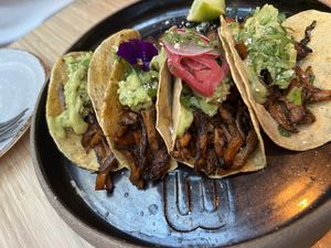Oyster tacos 6/10  at Madre in Amsterdam