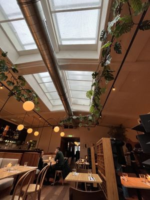 🎉  at Madre in Amsterdam