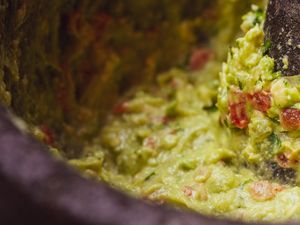  at Madre in Amsterdam