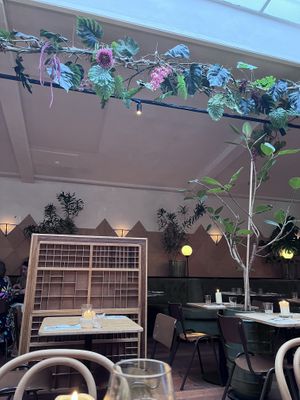   at Madre in Amsterdam