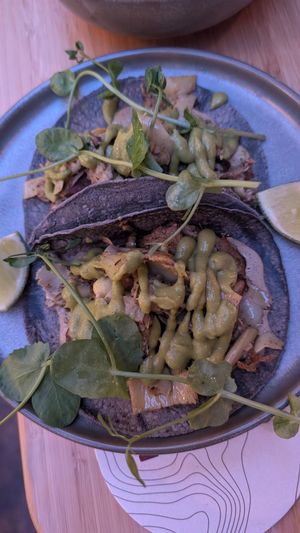  at Madre in Amsterdam