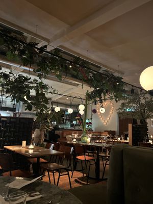   at Madre in Amsterdam