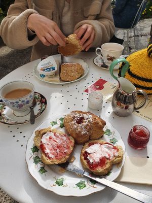  at The Tudor Rose Tearooms & Garden in Plymouth