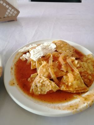 Chilaquiles con queso de almendra at El Eden in Tepic