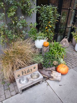  at Kula in Rotterdam