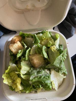 Caesar!  at Pi Vegan Pizzeria in Seattle