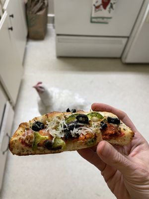 June (my rescued house chicken) really wants me to share 🐔❤️  at Pi Vegan Pizzeria in Seattle