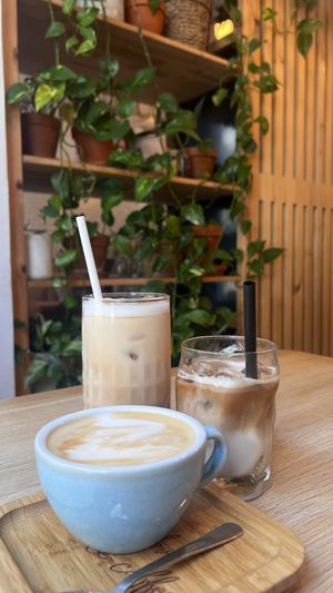   at Share Sweet and Espresso Bar in Prague