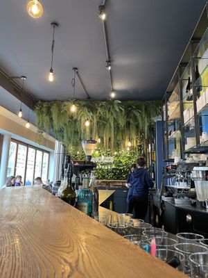   at Snocks Coffee in Mannheim