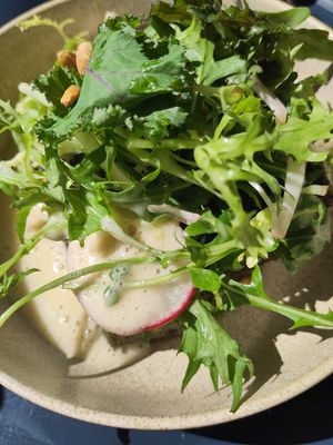  at Snocks Coffee in Mannheim