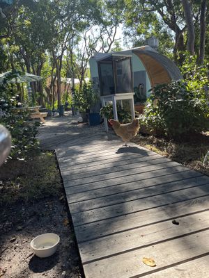   at Seaside Eatery in Key Largo